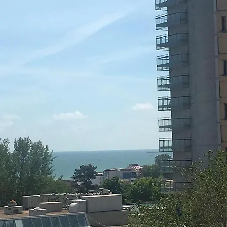 David Junior ホームステイ *